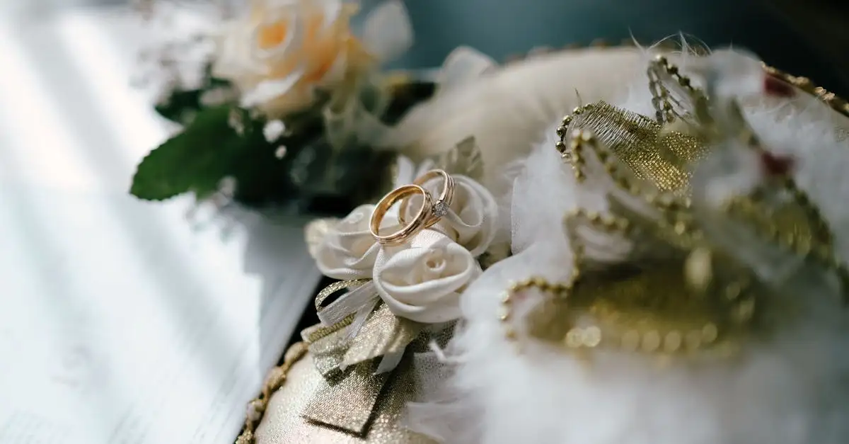 Mooi ringkussen voor uw huwelijk of bruiloft